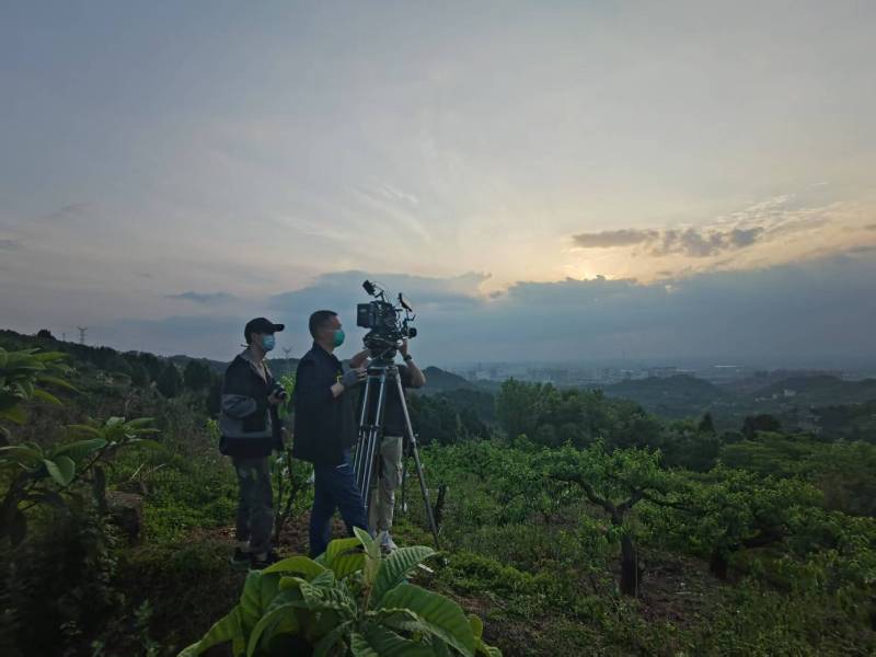 创意破圈！鹿邑县电商产品宣传视频用故事化叙事引爆流量