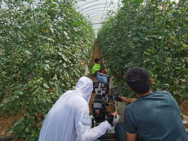 鹿邑县产品宣传视频拍摄公司进阶指南，助力品牌抢占传播高地